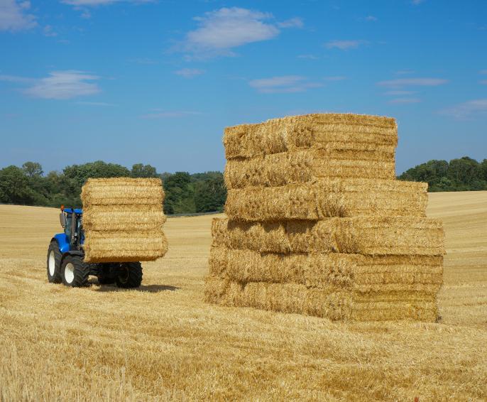 A tractor in a field during harvesting