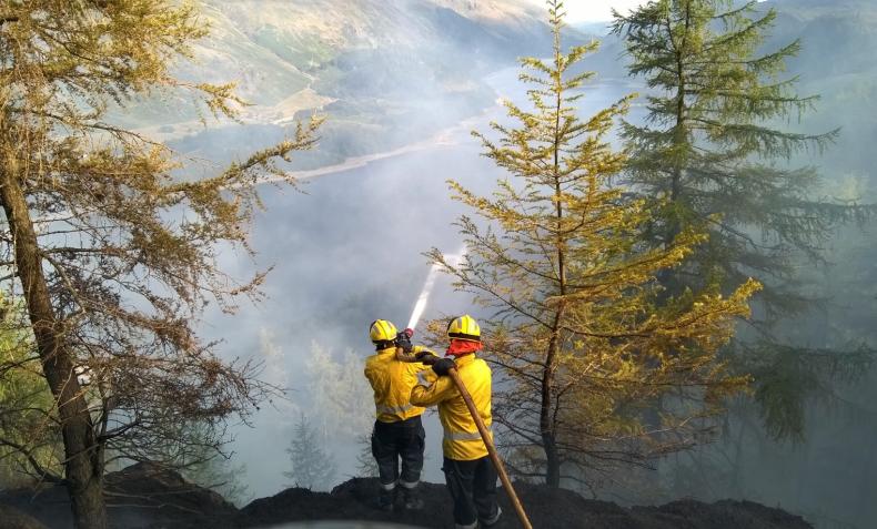 A photo of firefighters on a fell extinguishing a fire in the open